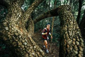 BIB: 
                            <button type="button" onclick="openModal(25394297)" class="btn btn-primary btn-sm float-right btn-popup" data-toggle="modal" data-target=".modal-high-quality">
                        <i class="fas fa-shopping-cart"></i> Add to Cart
                    </button>
                                            <button type="button" onclick="isThisMe(25394297, true)" class="btn btn-success btn-sm float-right btn-popup btn-isme hidden" data-toggle="tooltip" data-placement="bottom" title="นี่คือรูปของคุณใช่ไหม คลิกที่นี่เพื่อเอาเข้าอัลบั้ม">
                        <i class="fas fa-plus"></i> Add to album
                    </button>
                    <button type="button" onclick="isThisMe(25394297, false)" class="btn btn-warning btn-sm float-right btn-popup btn-isnotme hidden">
                        <i class="fas fa-ban"></i> Remove from album
                    </button>